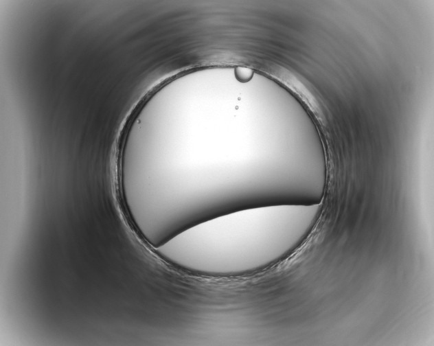 X0000094371000200711020749