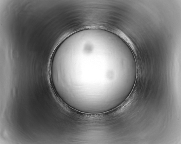X0000094371002200711020749