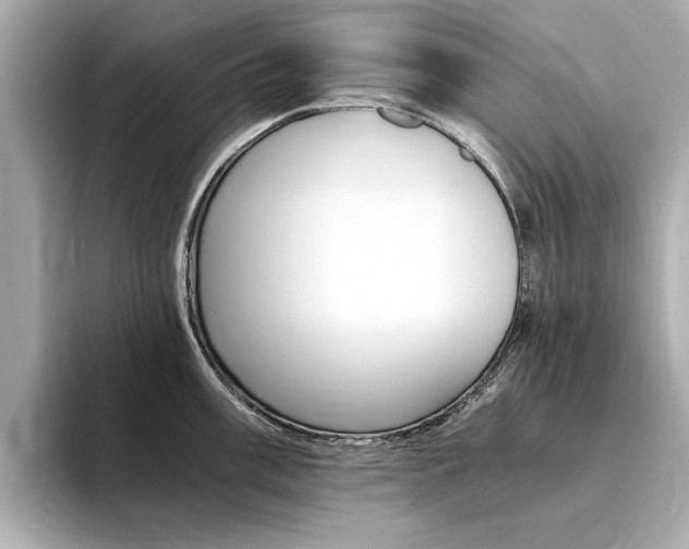 X0000094371003200711020749