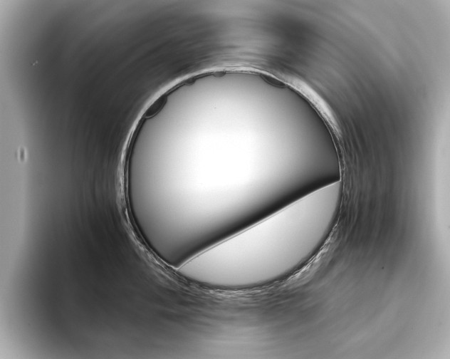 X0000094371004200711020749