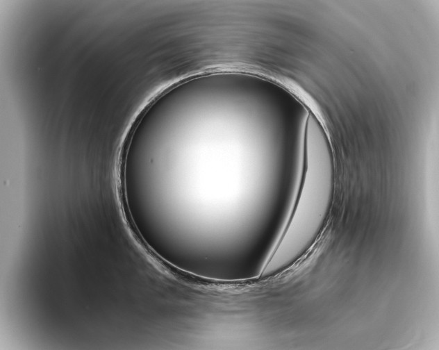 X0000094371005200711020749