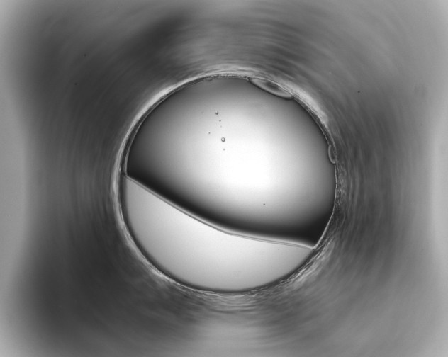 X0000094371007200711020749