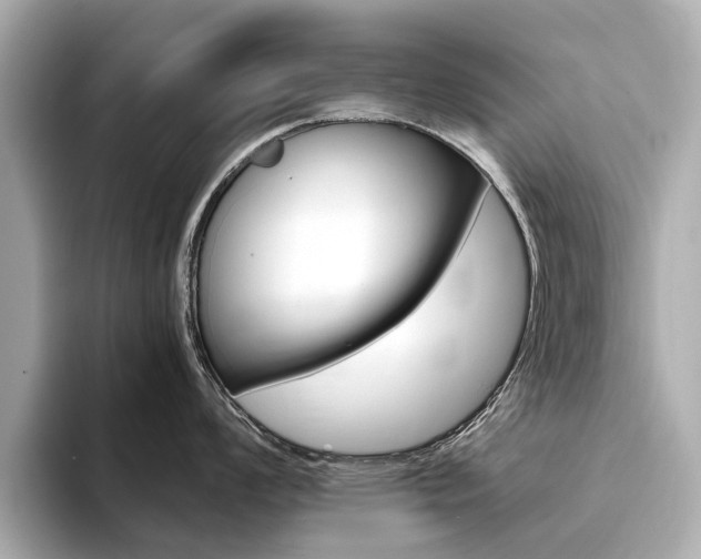 X0000094371008200711020749
