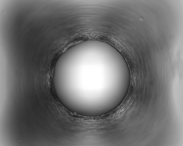 X0000094371010200711020749