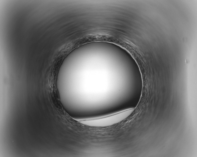 X0000094371014200711020749