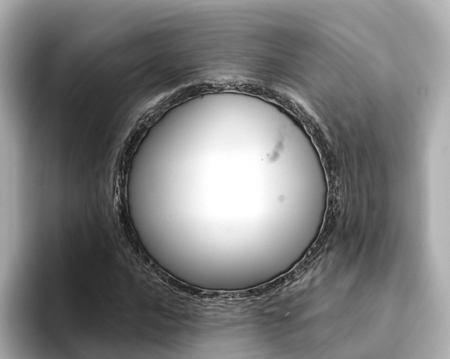 X0000094371016200711020749