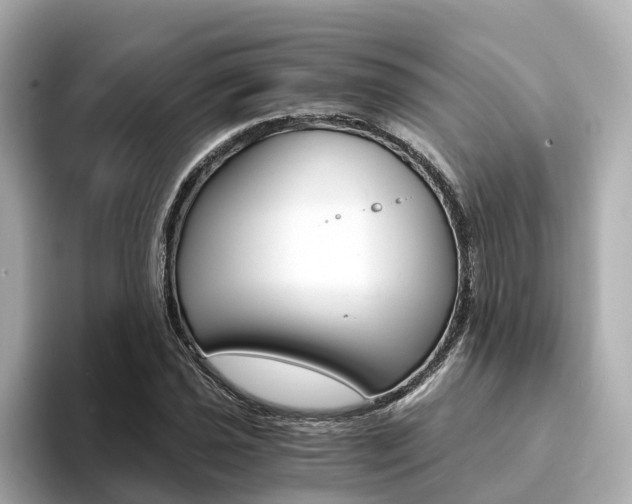 X0000094371021200711020749