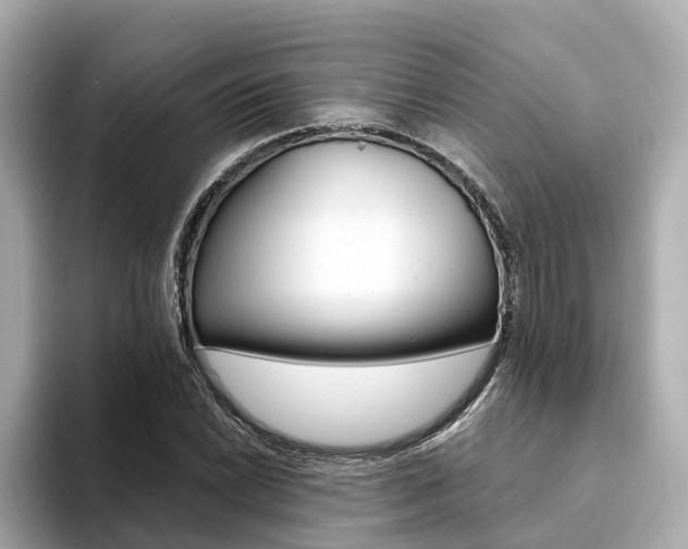 X0000094371022200711020749