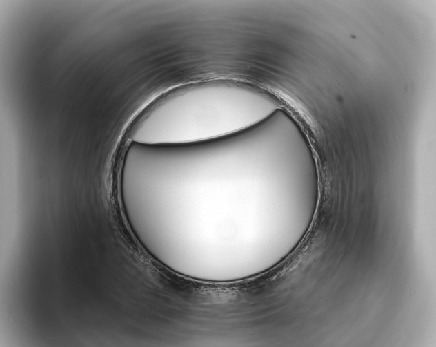 X0000094371023200711020749