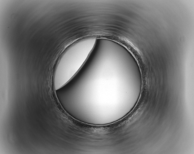 X0000094371025200711020749