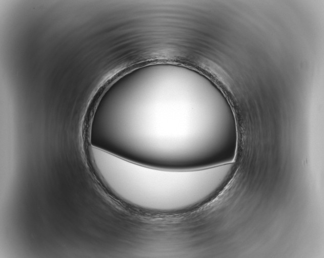 X0000094371026200711020749