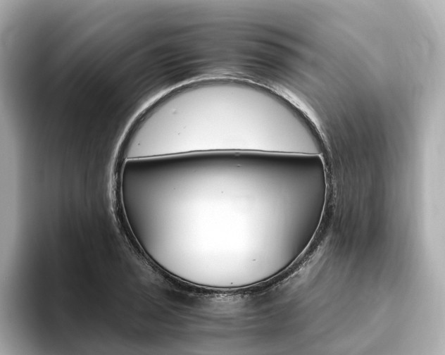 X0000094371029200711020749