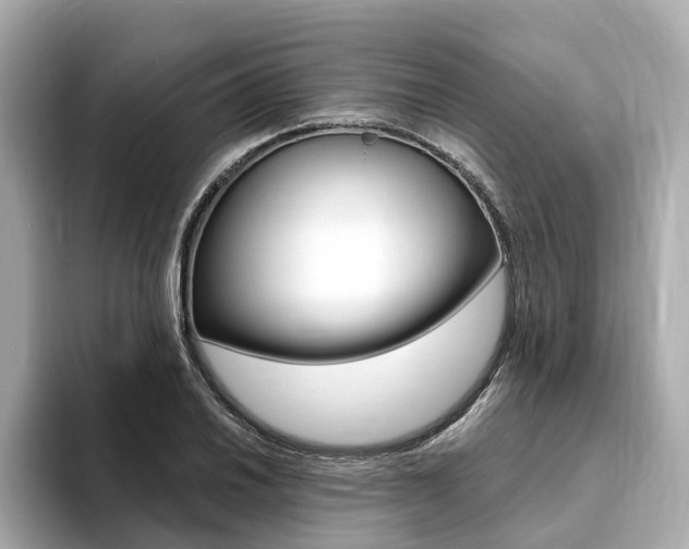 X0000094371030200711020749