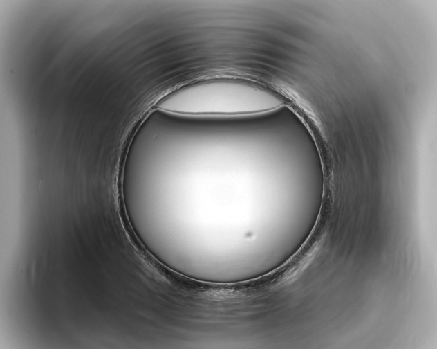 X0000094371033200711020749