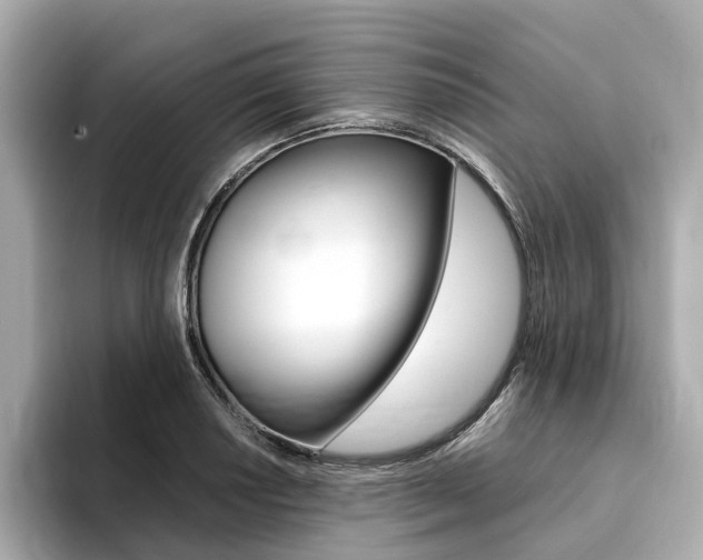 X0000094371034200711020749