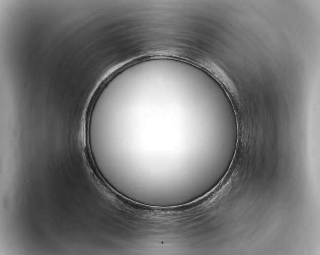 X0000094371036200711020749