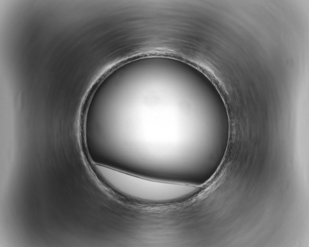 X0000094371038200711020749