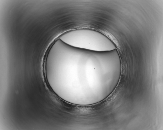 X0000094371039200711020749