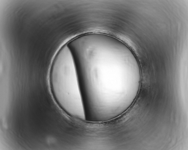X0000094371040200711020749