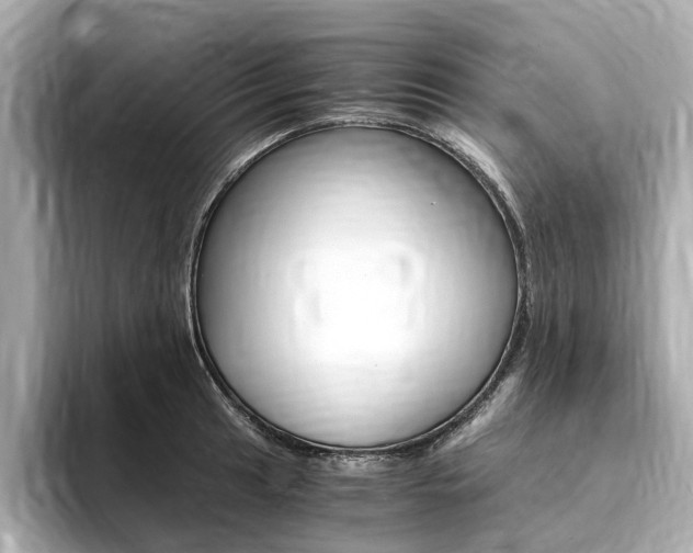 X0000094371041200711020749