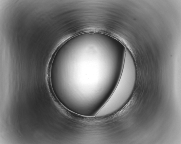 X0000094371042200711020749