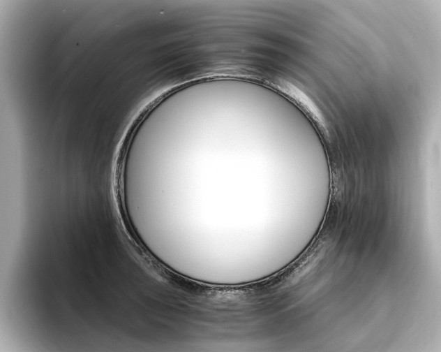 X0000094371043200711020749