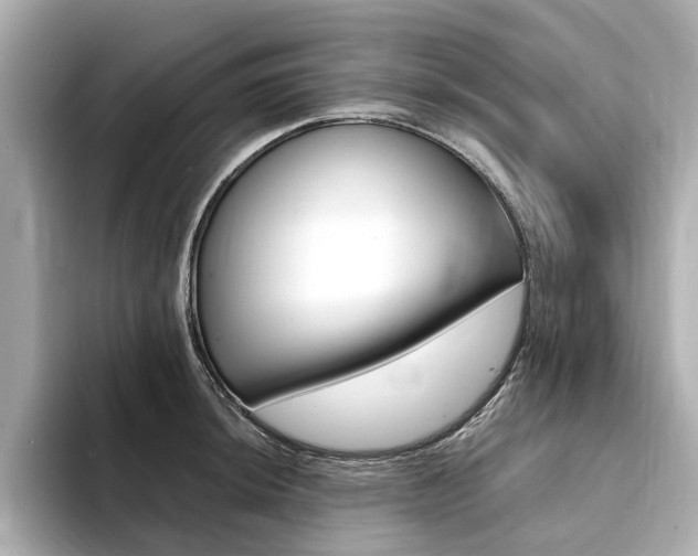 X0000094371044200711020749