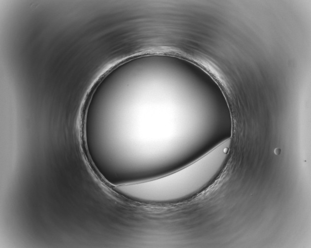 X0000094371046200711020749