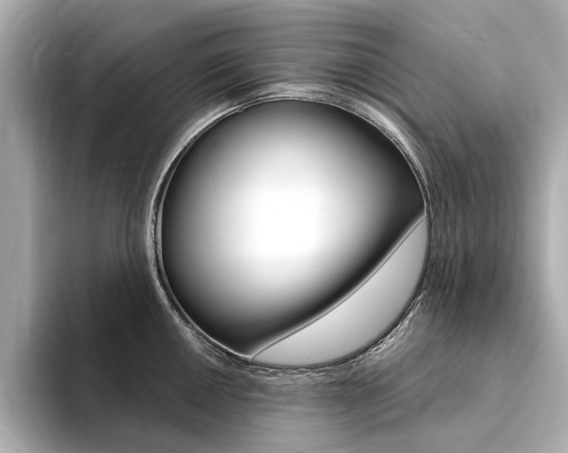 X0000094371050200711020749
