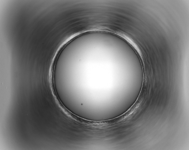 X0000094371053200711020749