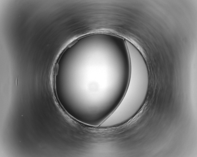 X0000094371054200711020749