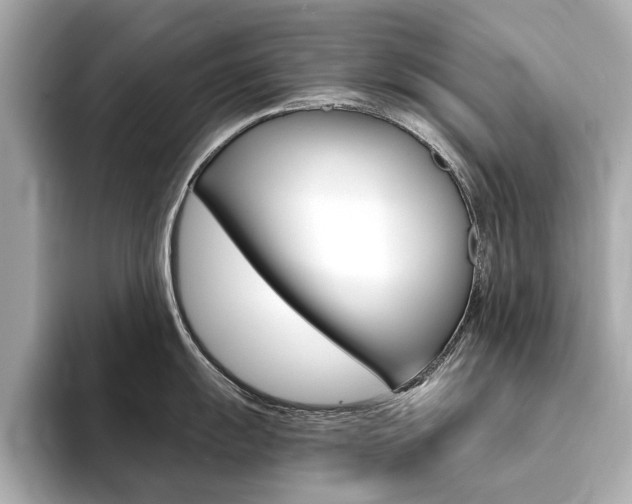 X0000094371055200711020749