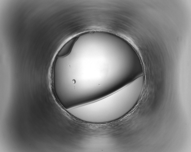 X0000094371056200711020749