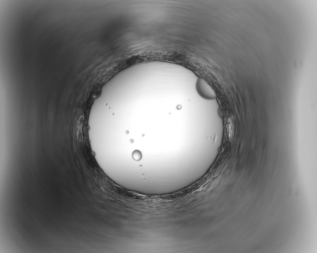 X0000094371059200711020749