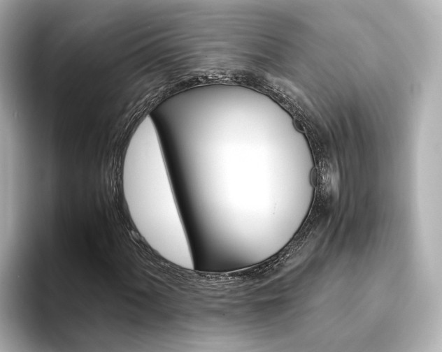 X0000094371060200711020749