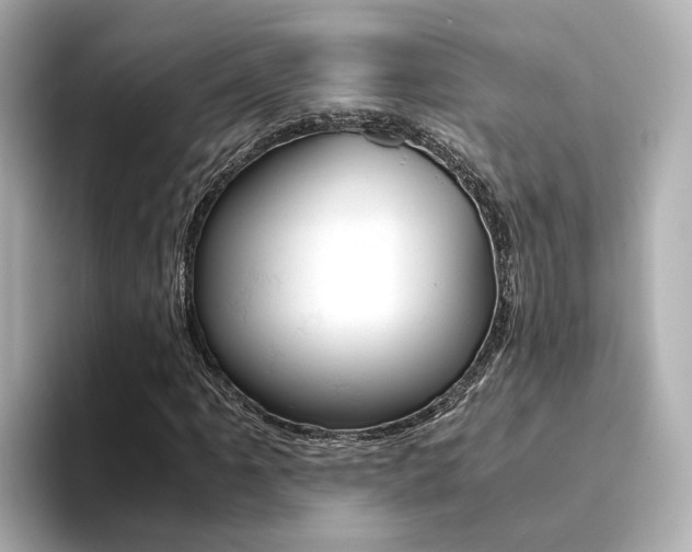 X0000094371061200711020749