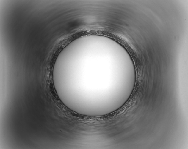 X0000094371063200711020749