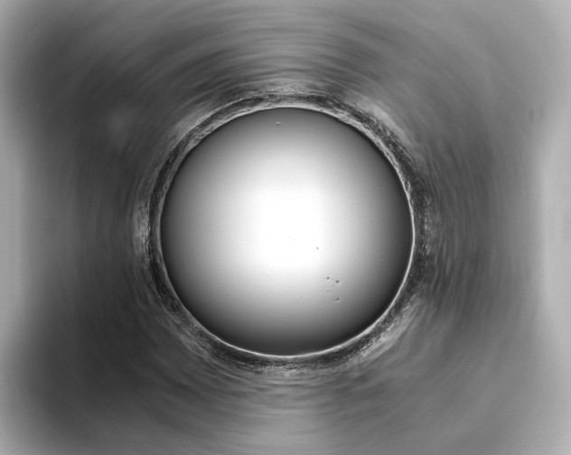 X0000094371065200711020749
