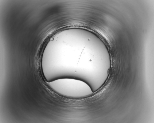 X0000094371067200711020749