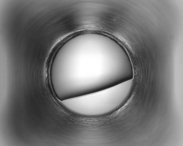 X0000094371070200711020749