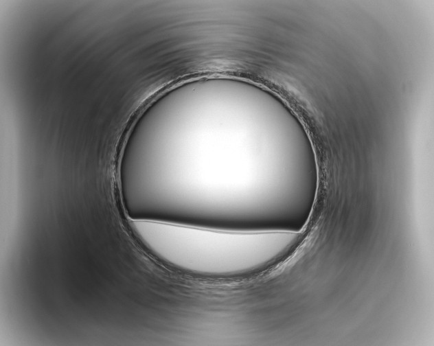 X0000094371073200711020748