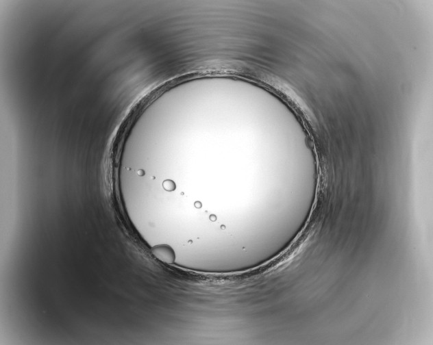 X0000094371075200711020748