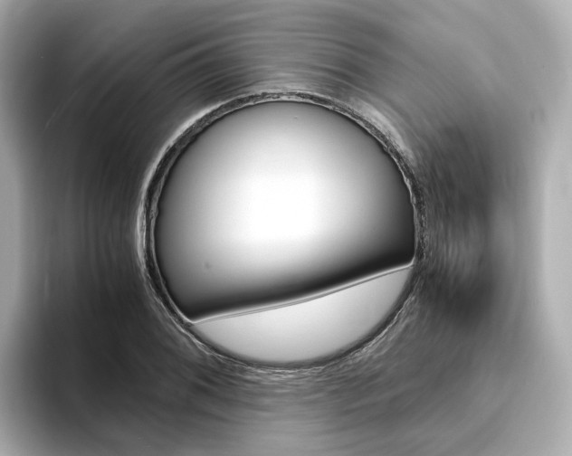 X0000094371076200711020748