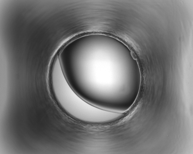 X0000094371077200711020748
