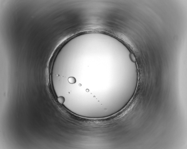 X0000094371079200711020748