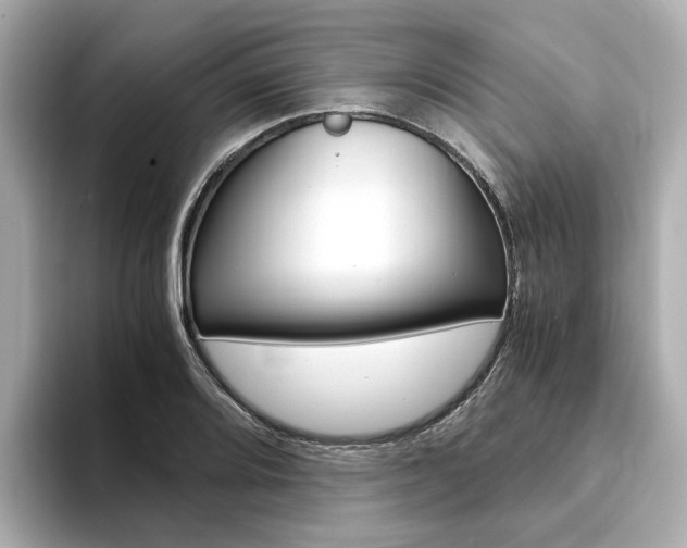 X0000094371080200711020748