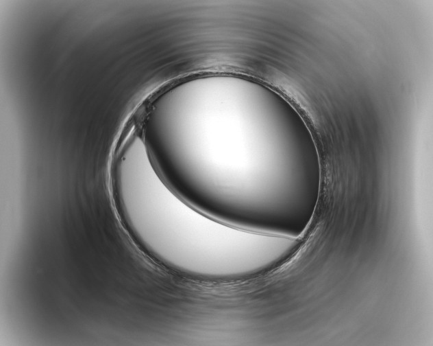 X0000094371082200711020748