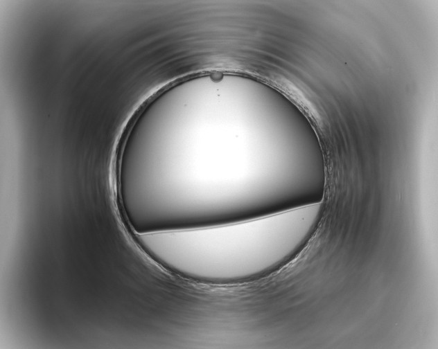 X0000094371084200711020748