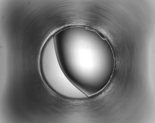 X0000094371085200711020748