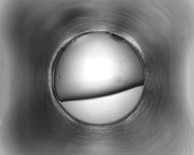X0000094371088200711020748